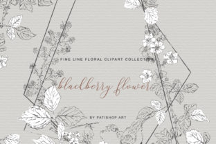 Download Hand Drawn Fine Line Clipart Blackberry - Black Collection